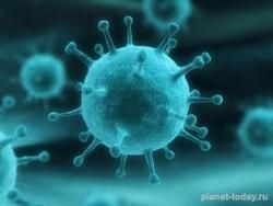 Ученые разрабатывают назальный спрей против Эболы