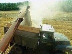 Россия начнет поставки зерна в Китай после долгого перерыва