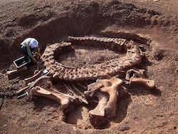 Шотландские палеонтологи изучили останки древнего чудовища