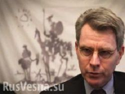 Посол США клянется, что не советовал Коломойскому ходить