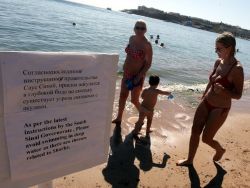 Возвращение акул на курорты Египта снизит поток туристов из РФ