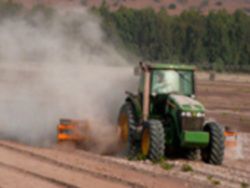 Израильские фермеры расплачиваются за санкции к РФ