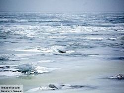 Арктические льды рекордно подтаяли