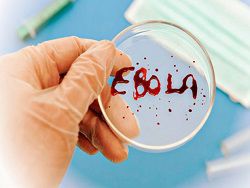 СМИ: ВОЗ медленно отреагировала на вспышку вируса Эбола