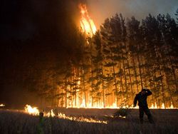 Леса Забайкалья охвачены огнем