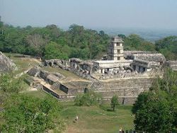 Учёные узнали, кем построены города Майя