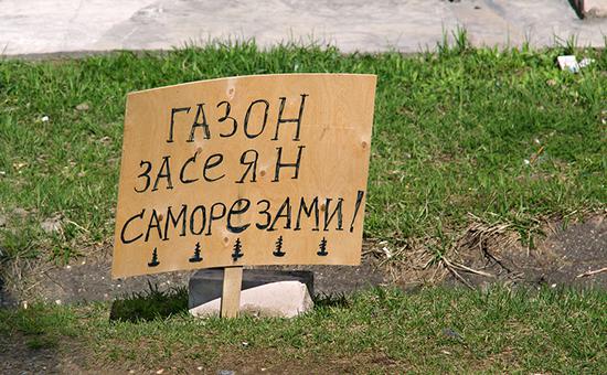 Московские депутаты утвердили штраф за парковку на газонах в 5 тыс. руб.