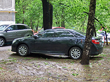 Летом в Москве  начнут  наказывать за парковку на газонах - штраф составит  до  300 тысяч рублей