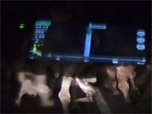 Испуганное стадо верблюдов   затоптало  легковушку с пассажирами  в  Астраханской области  (ВИДЕО)