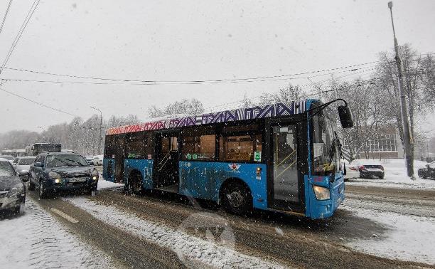 Погода в Туле 28 января: небольшой снег и сильный ветер