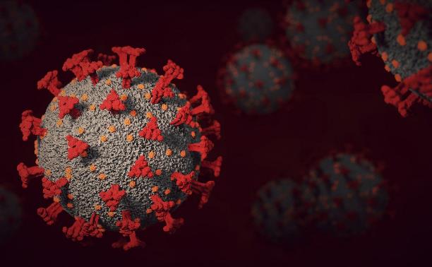 Как передается «омикрон» и где проще всего им заразиться: семь вопросов о новом опасном штамме коронавируса