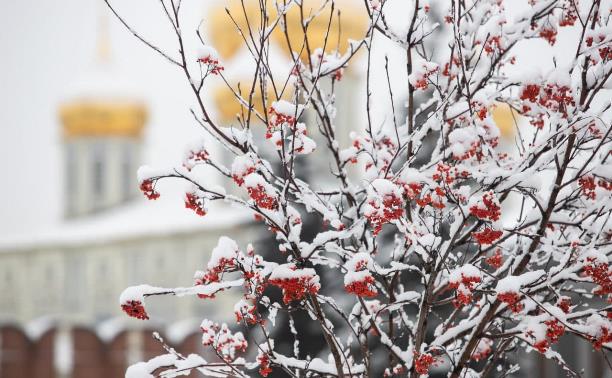 Погода в Туле 3 января: снег, гололедица и до -10 градусов